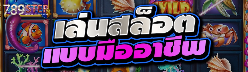 เล่นสล็อตแบบมืออาชีพ  